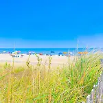 Ocean Village -- 39664 Skimmer
