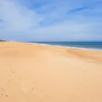 Ocean Village -- 39672 Skimmer