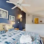 Sea Colony - 54049 Seashell