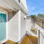 Sea Colony Sanddollar