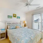 Sea Colony Sanddollar