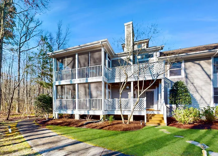 Sea Colony 52009