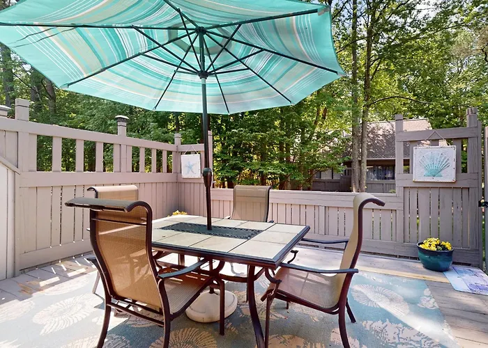 Sea Colony --- 39286 Timberlake #7601