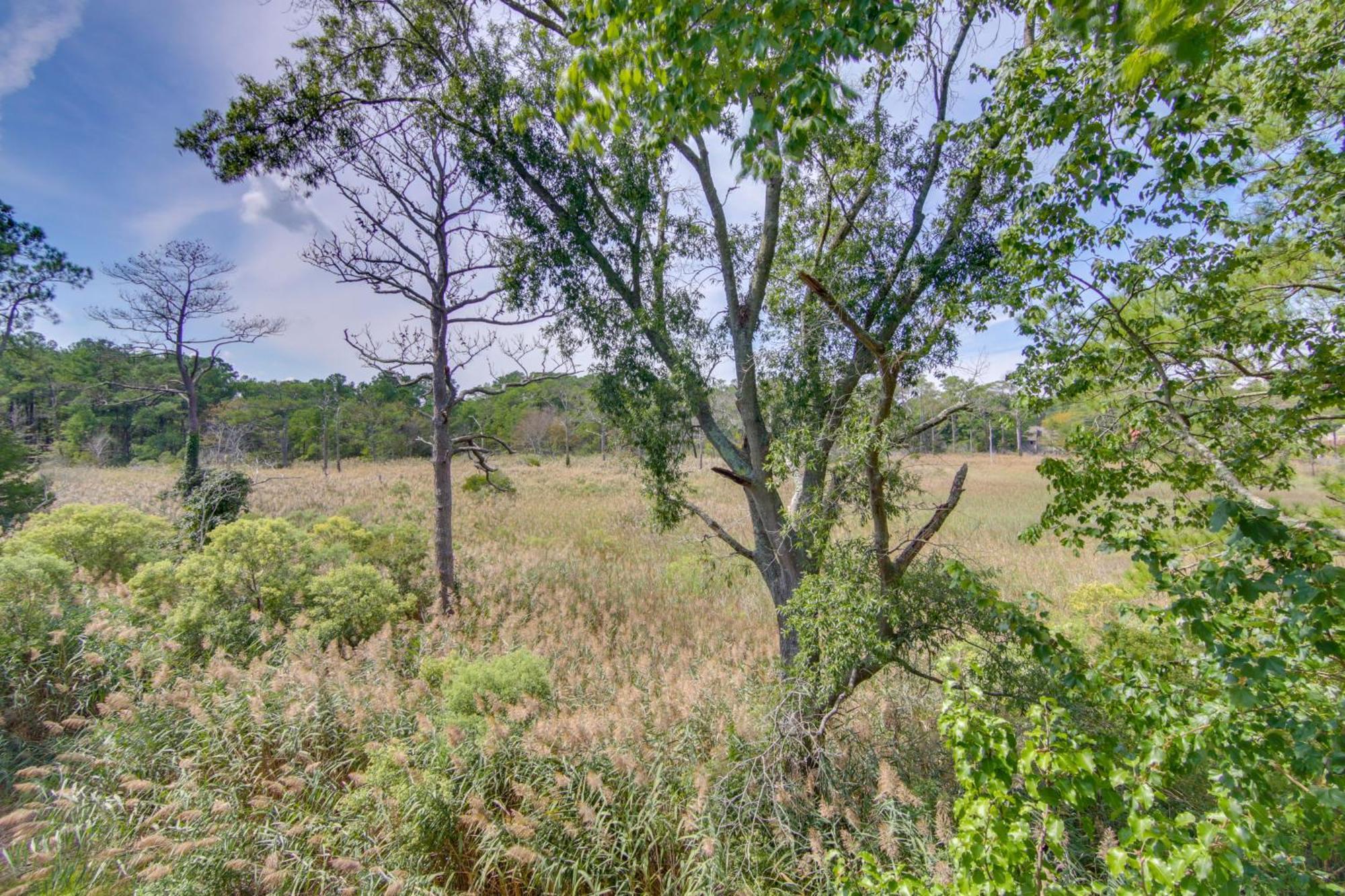With Wetland Views- Half Mi To Bethany Beach! Holiday home Bethany Beach