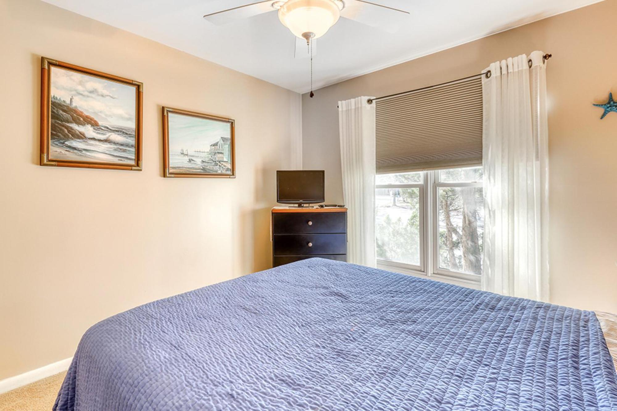 Sea Colony - Lakeshore