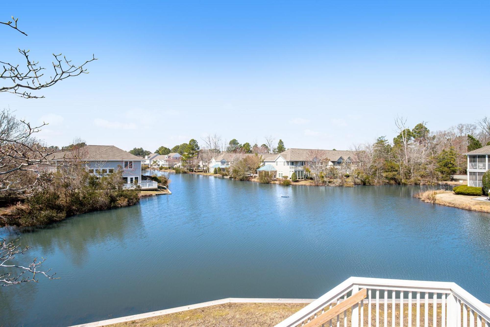 Sea Colony - Lakeshore