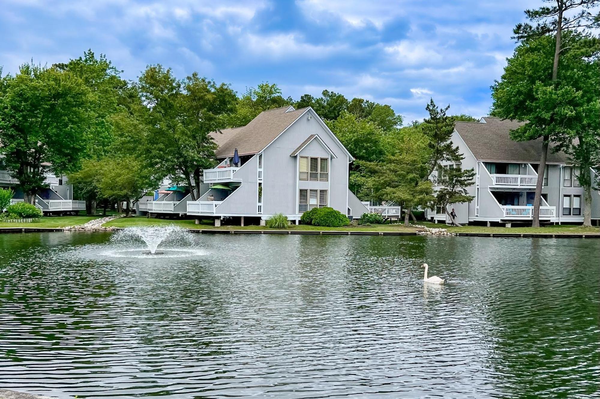 Sea Colony --- 3201 Round Robin *