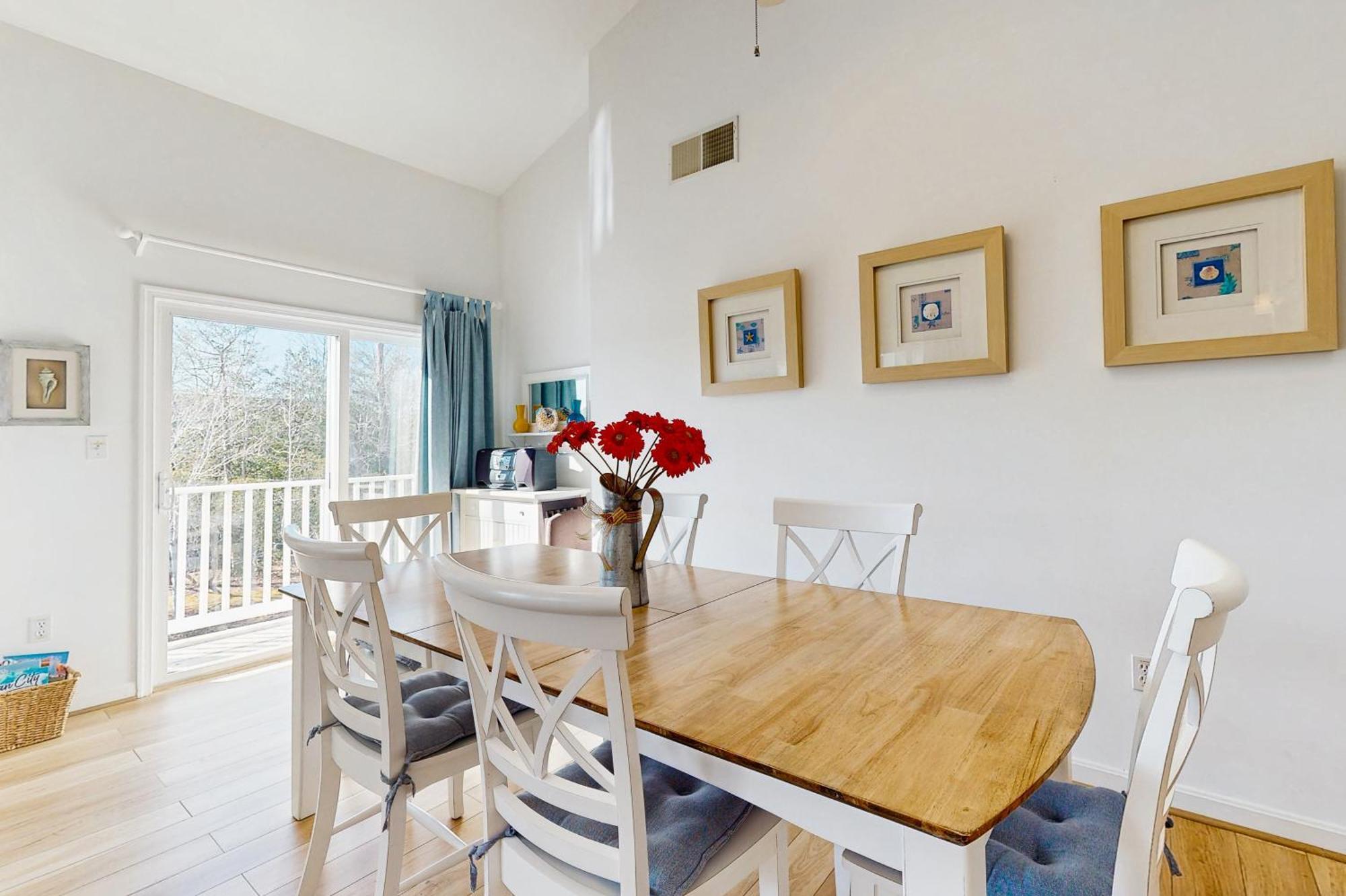 Sea Colony Sanddollar *