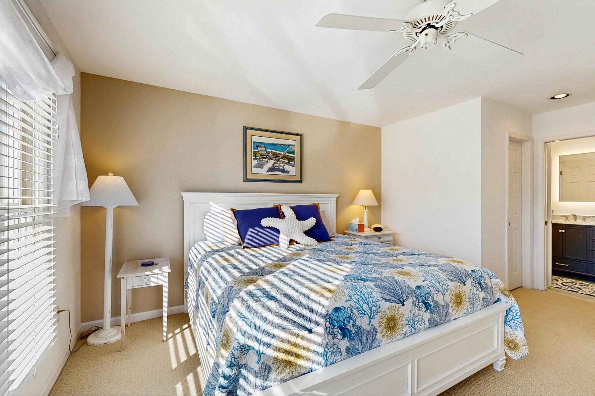 Sea Colony Sanddollar *