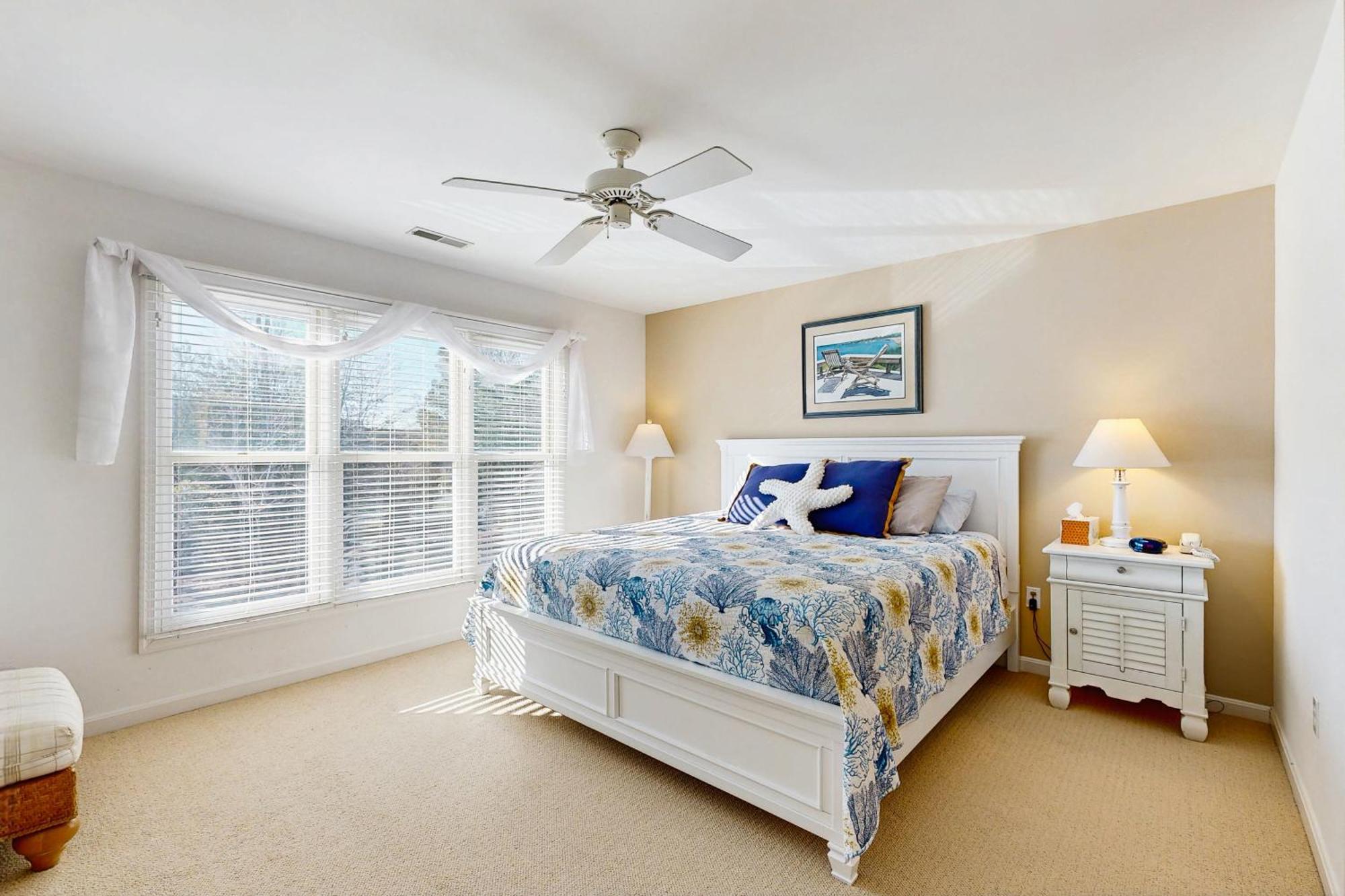 Sea Colony Sanddollar