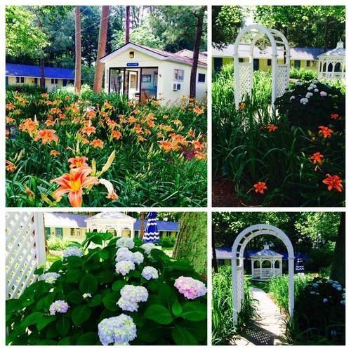 Bed & Breakfast Meris Gardens