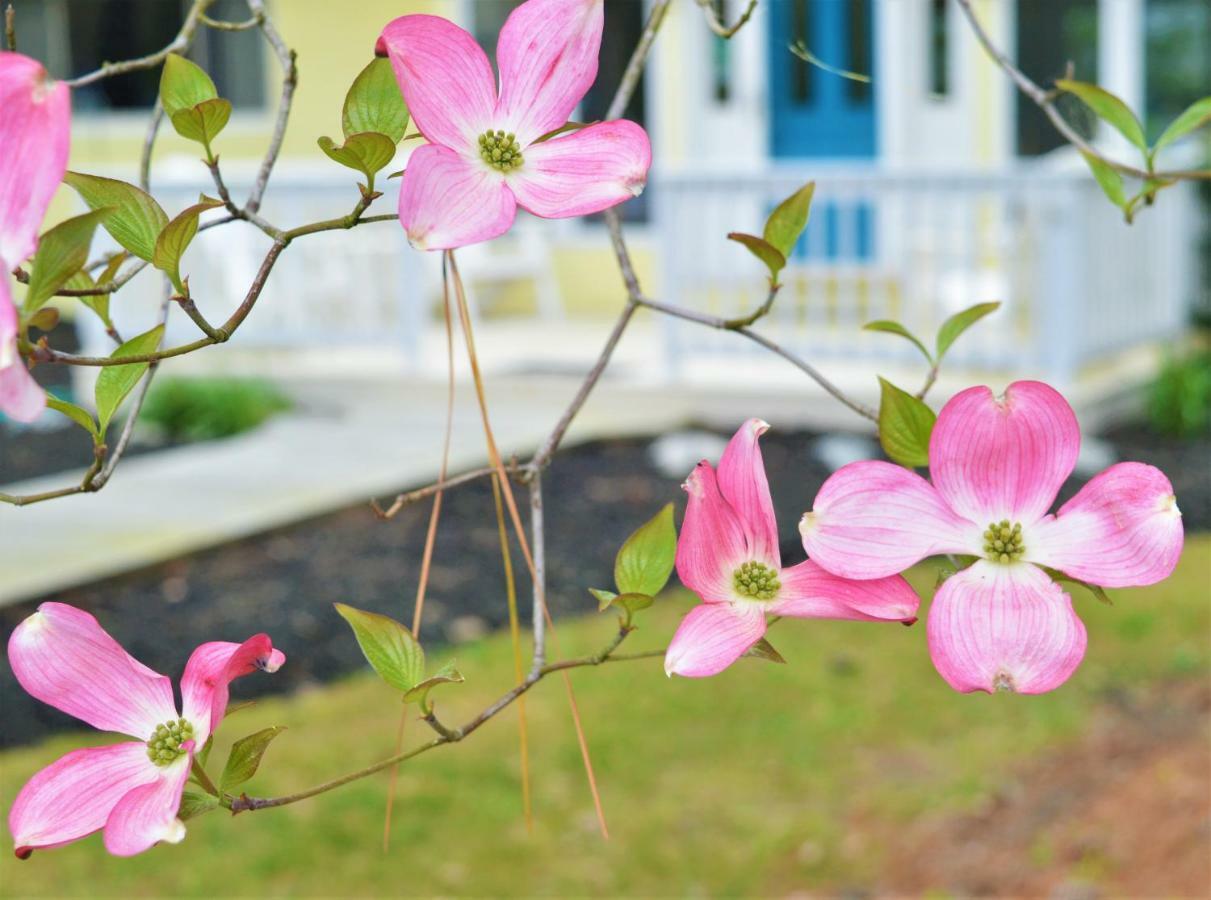 Meris Gardens