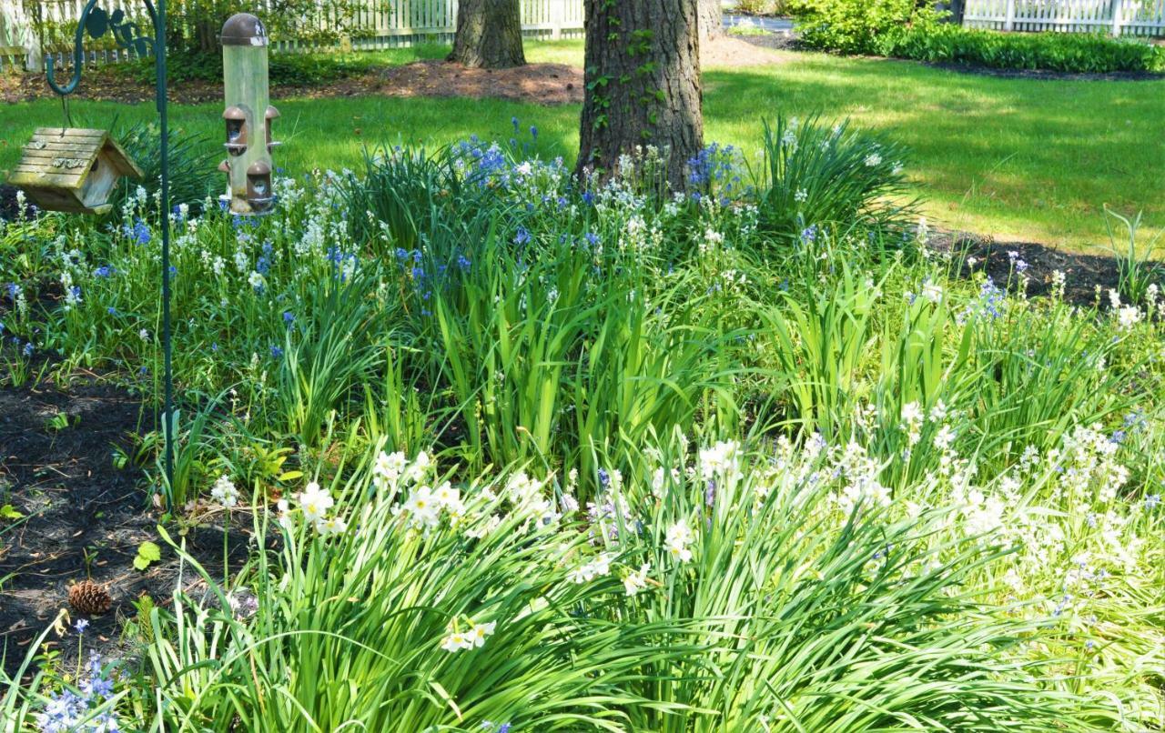 Meris Gardens